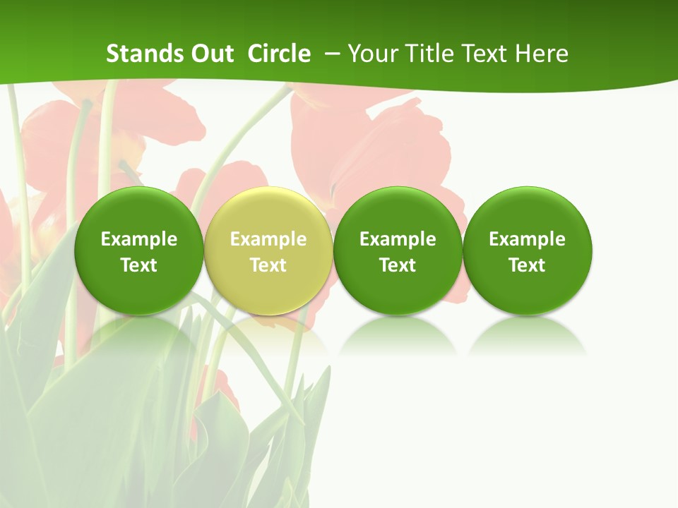 Beautiful Background Flowers PowerPoint Template