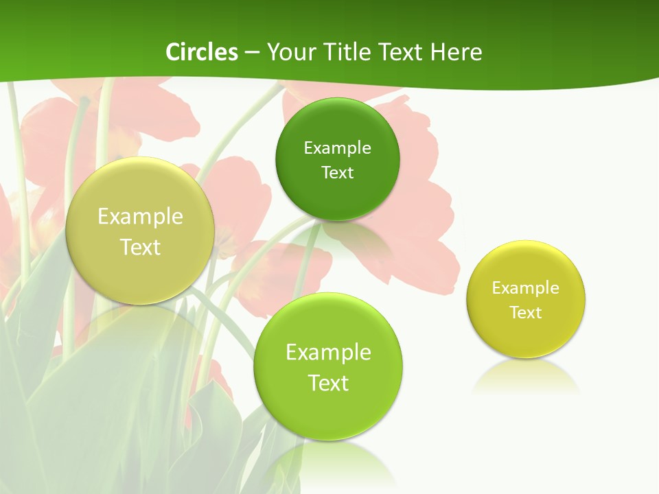 Beautiful Background Flowers PowerPoint Template