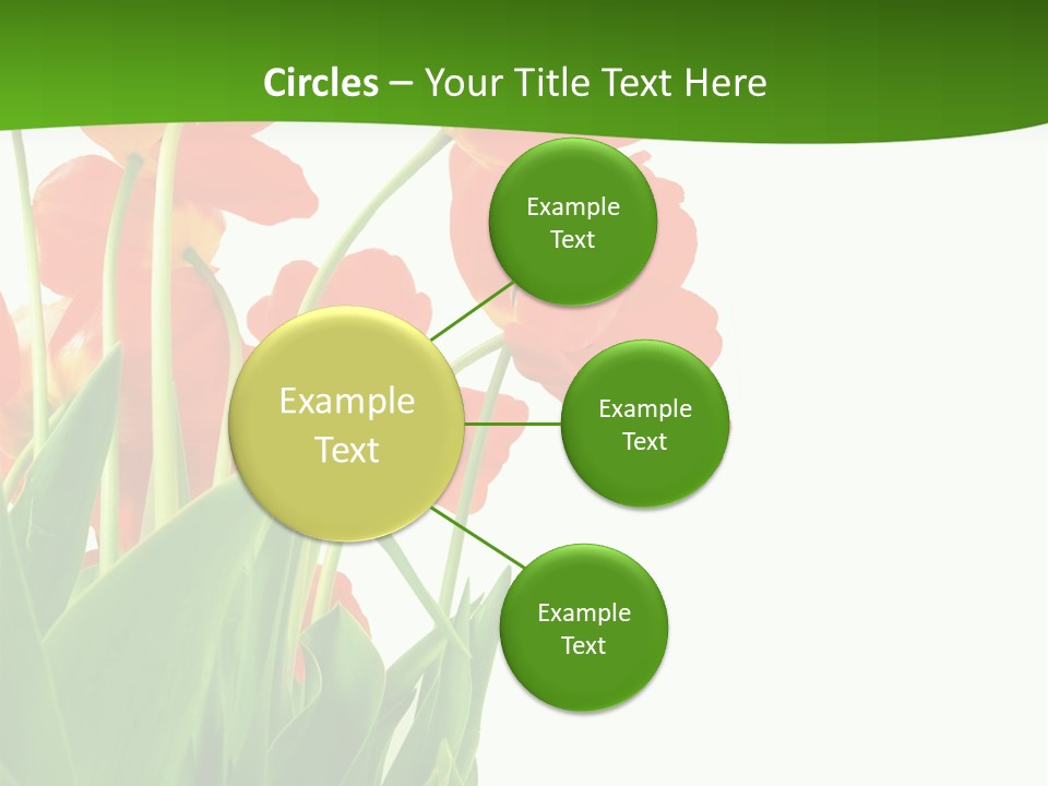 Beautiful Background Flowers PowerPoint Template