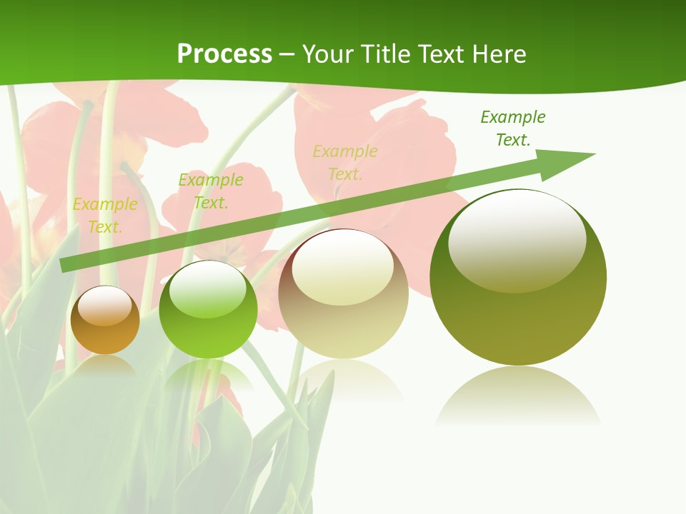 Beautiful Background Flowers PowerPoint Template