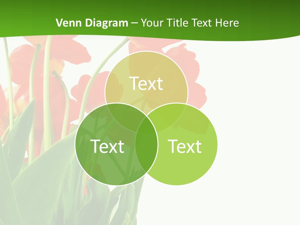 Beautiful Background Flowers PowerPoint Template