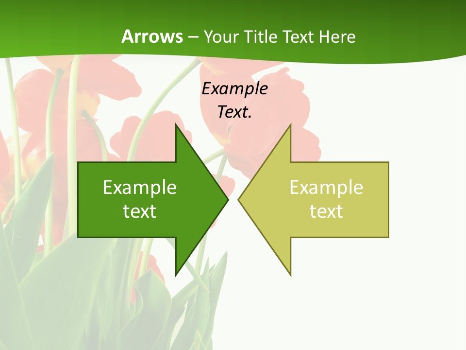 Beautiful Background Flowers PowerPoint Template