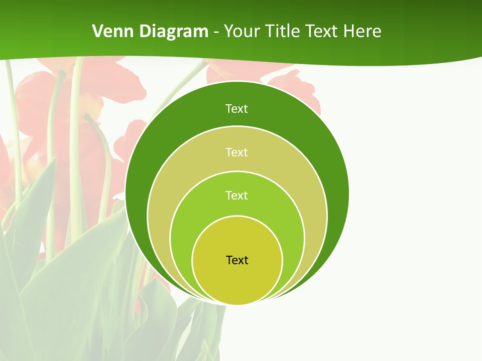 Beautiful Background Flowers PowerPoint Template