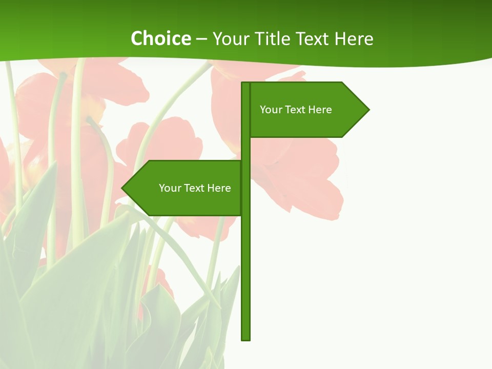 Beautiful Background Flowers PowerPoint Template