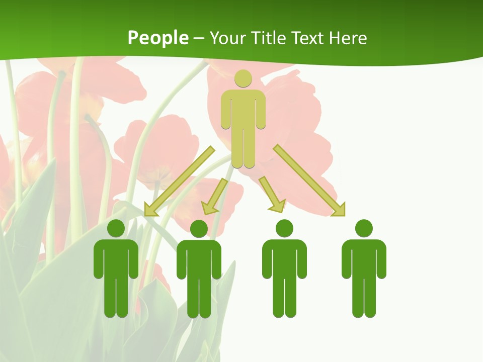 Beautiful Background Flowers PowerPoint Template