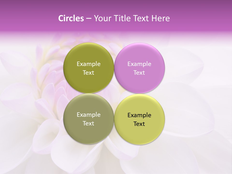 Botanical Gift Spring PowerPoint Template