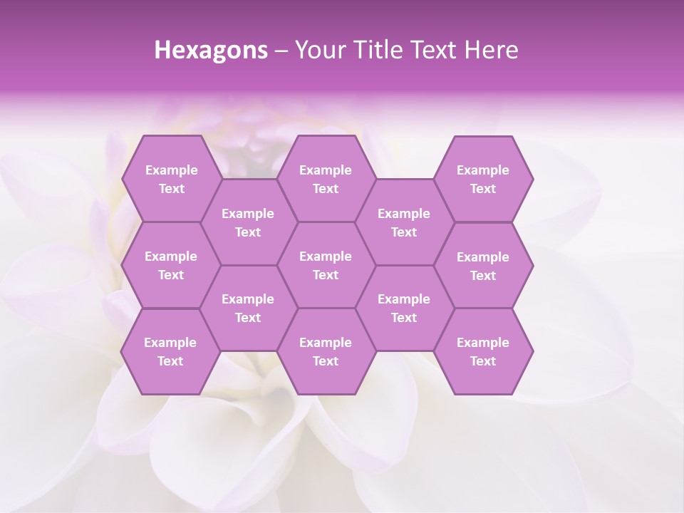 Botanical Gift Spring PowerPoint Template