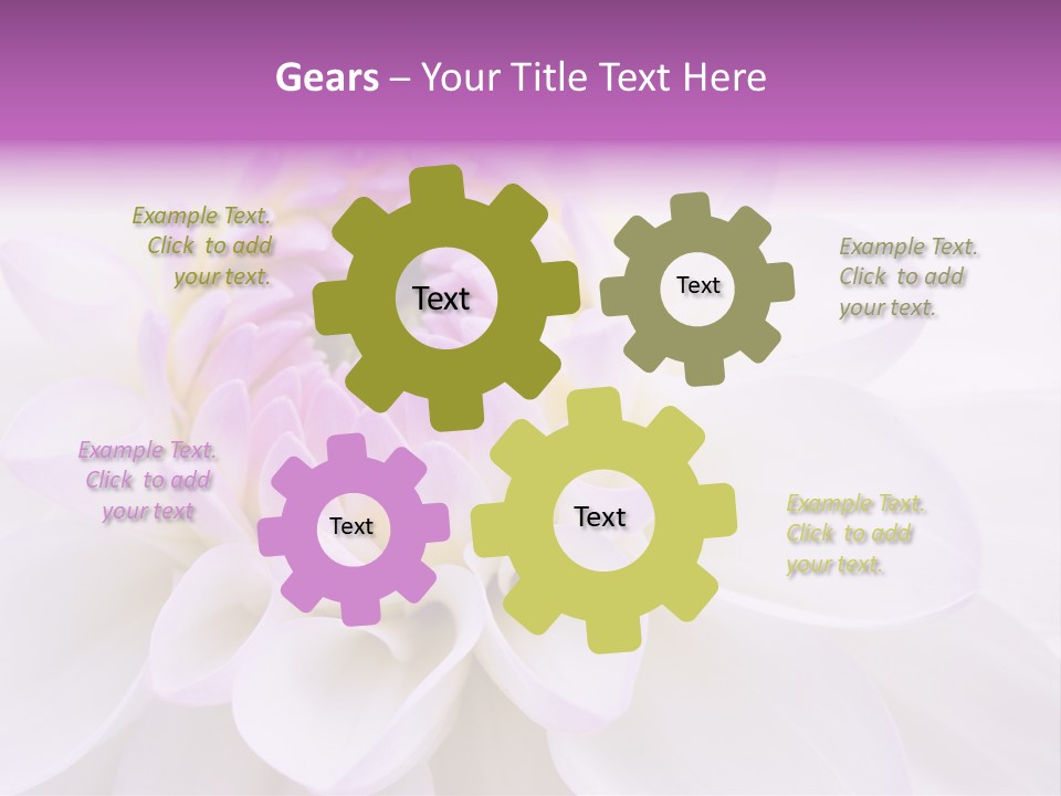 Botanical Gift Spring PowerPoint Template