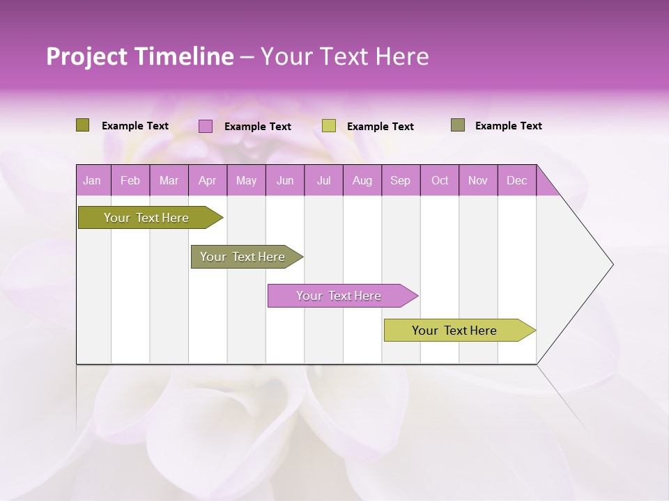 Botanical Gift Spring PowerPoint Template