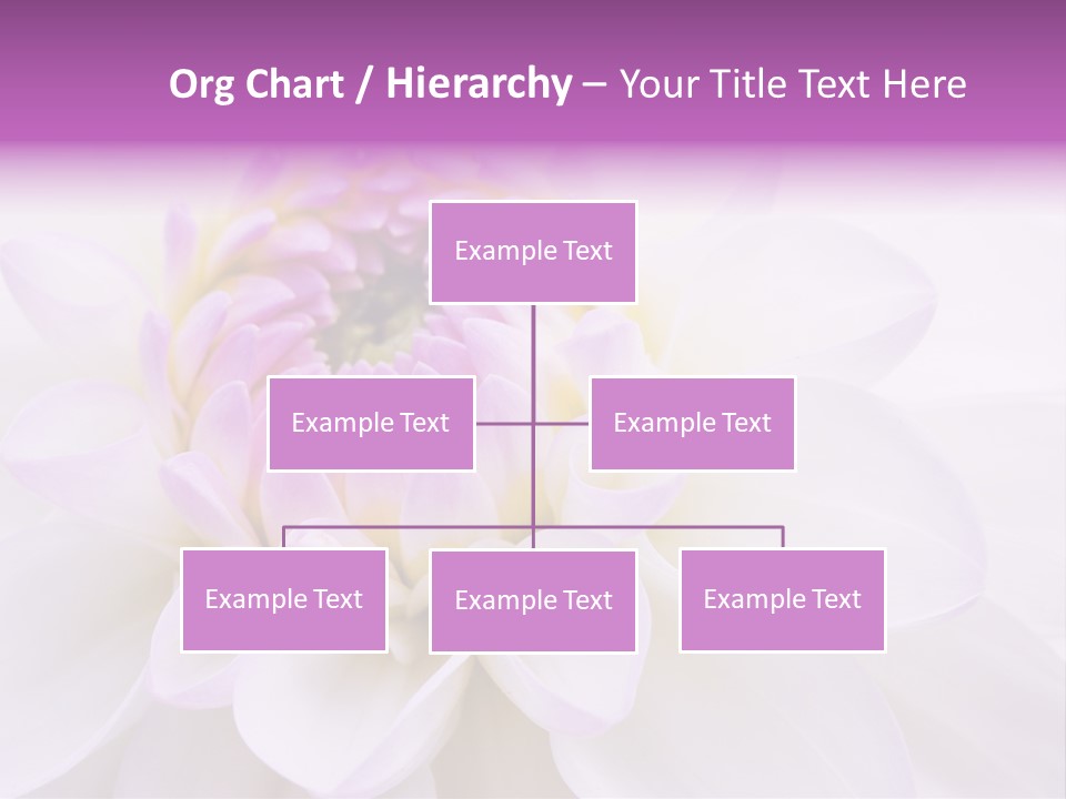 Botanical Gift Spring PowerPoint Template