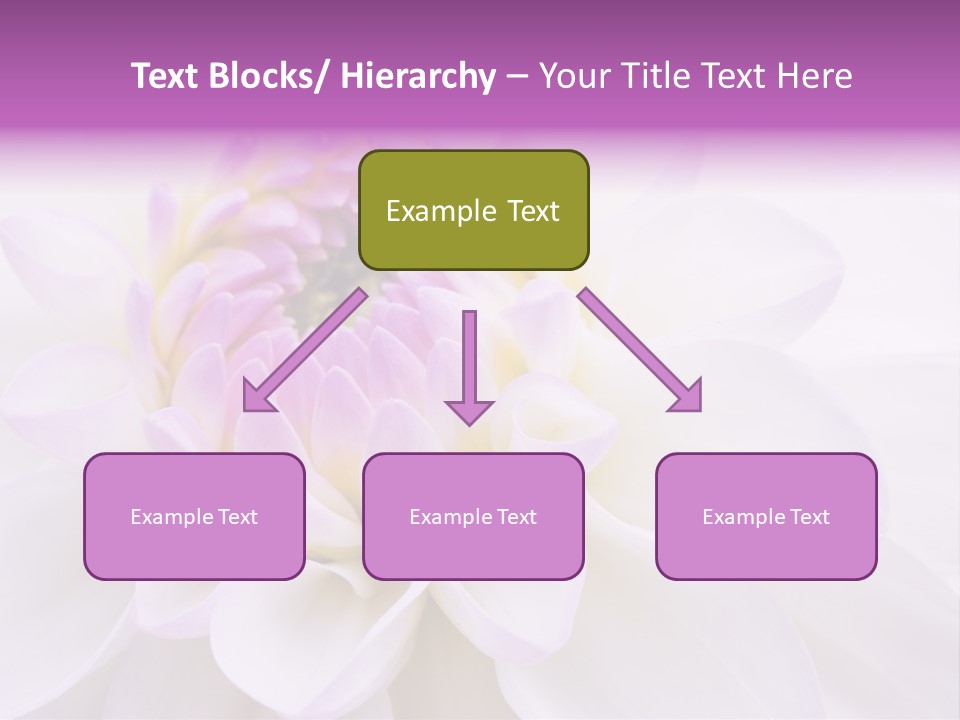 Botanical Gift Spring PowerPoint Template