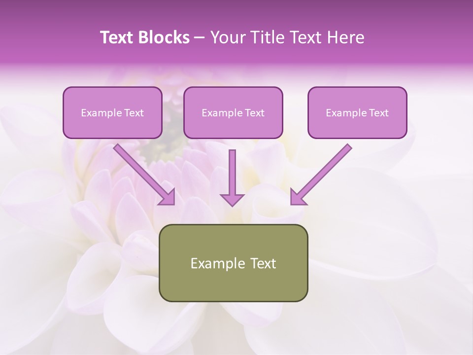 Botanical Gift Spring PowerPoint Template