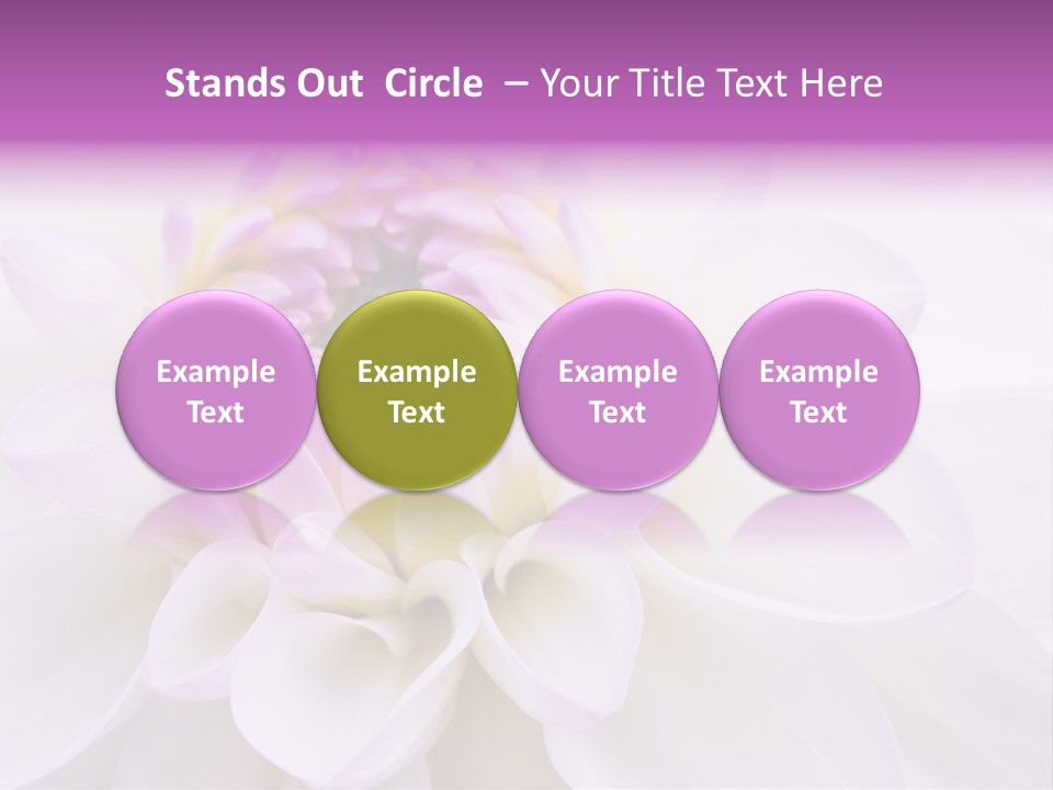 Botanical Gift Spring PowerPoint Template