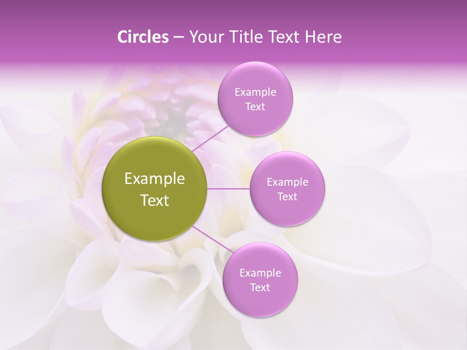 Botanical Gift Spring PowerPoint Template