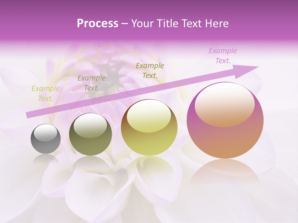 Botanical Gift Spring PowerPoint Template