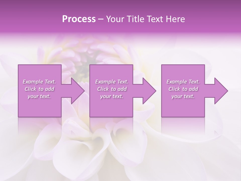 Botanical Gift Spring PowerPoint Template