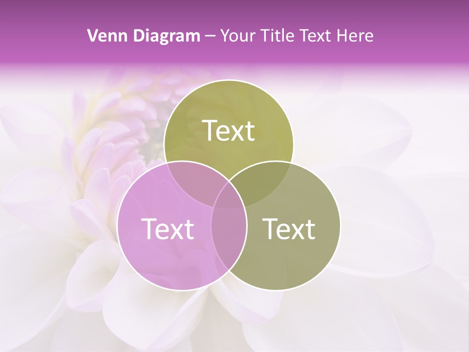 Botanical Gift Spring PowerPoint Template