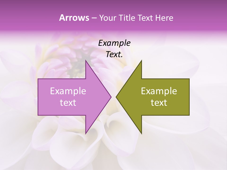 Botanical Gift Spring PowerPoint Template