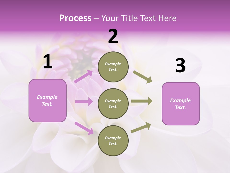 Botanical Gift Spring PowerPoint Template