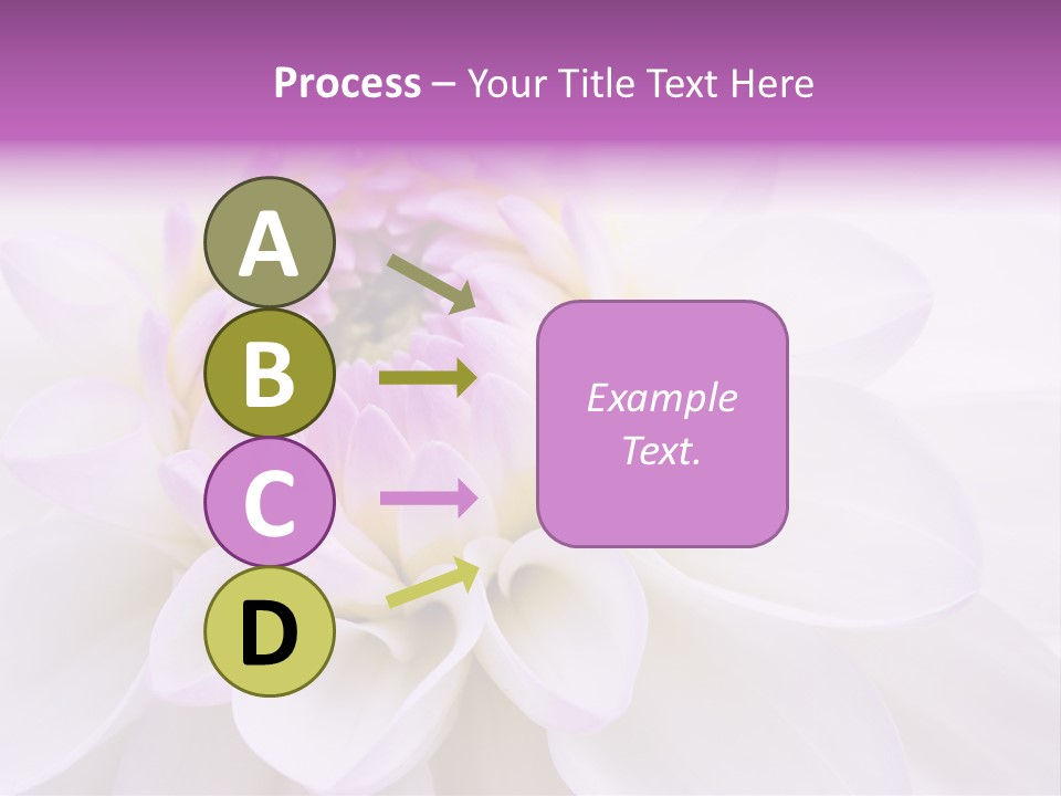Botanical Gift Spring PowerPoint Template