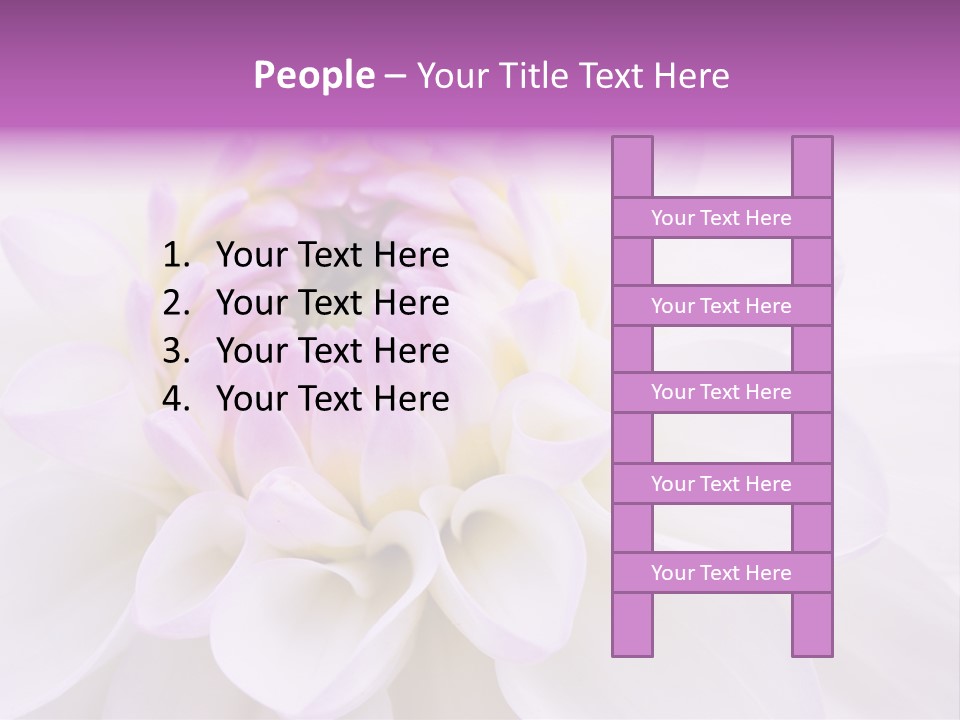 Botanical Gift Spring PowerPoint Template