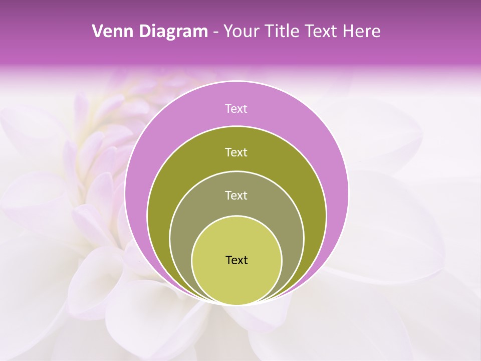Botanical Gift Spring PowerPoint Template