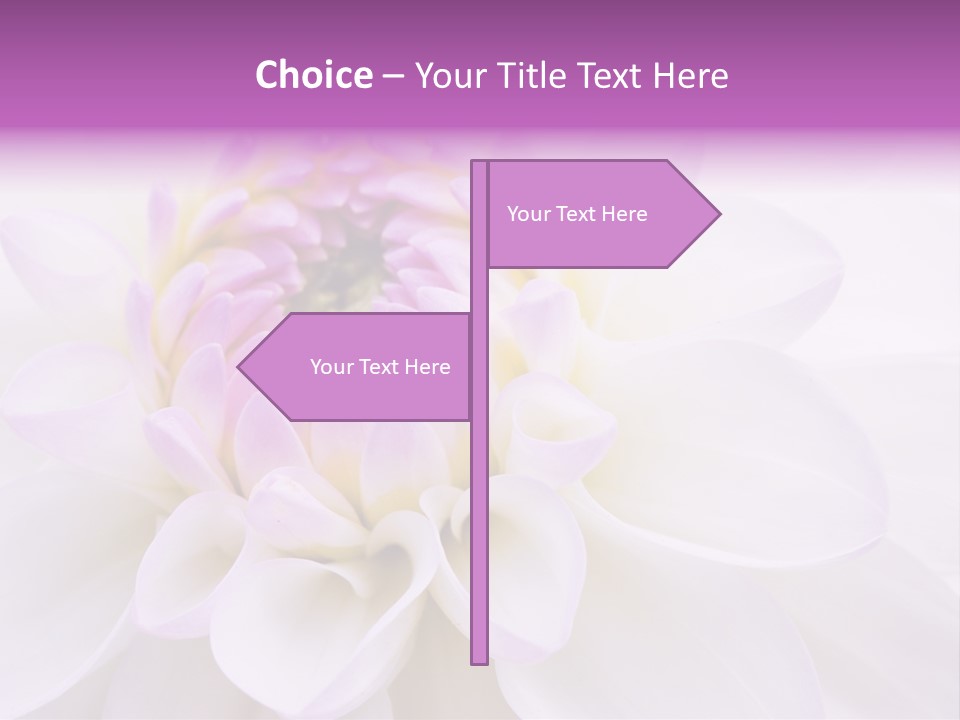 Botanical Gift Spring PowerPoint Template