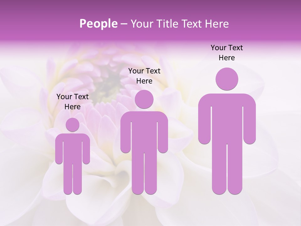 Botanical Gift Spring PowerPoint Template