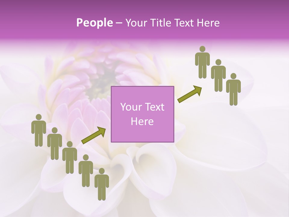 Botanical Gift Spring PowerPoint Template