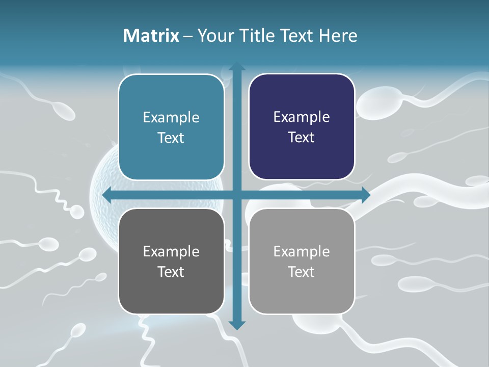 Curl Beautiful Design PowerPoint Template