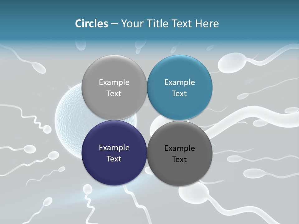 Curl Beautiful Design PowerPoint Template
