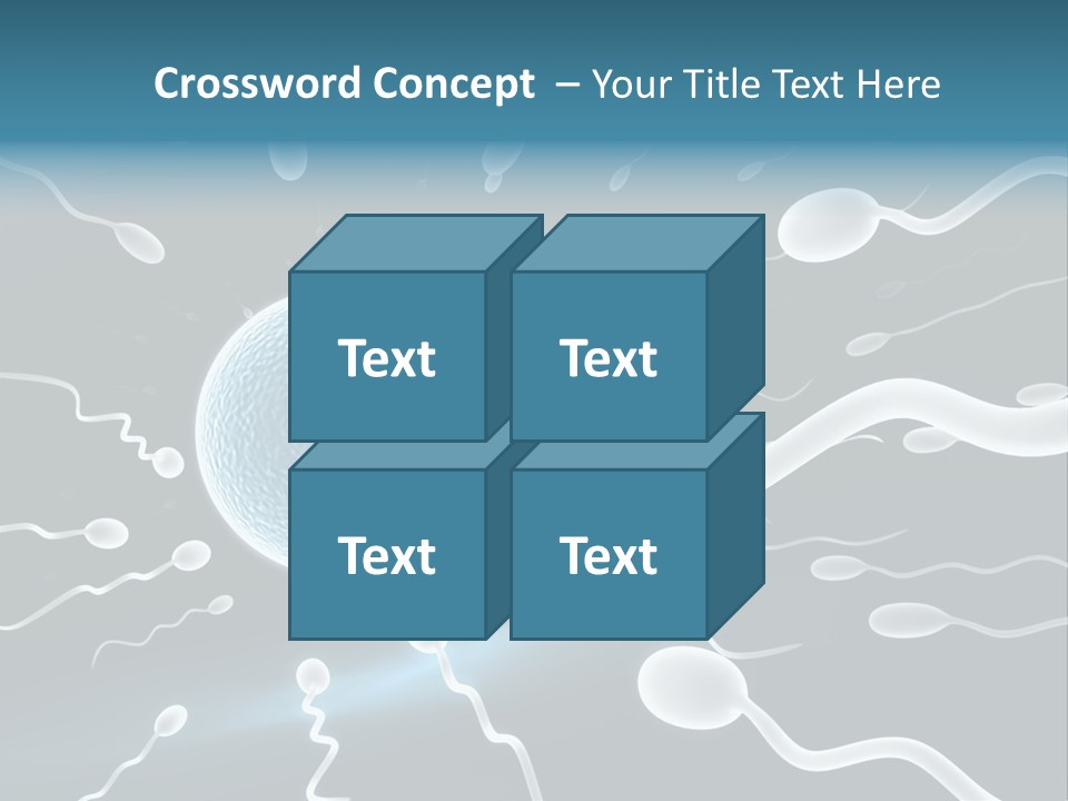 Curl Beautiful Design PowerPoint Template