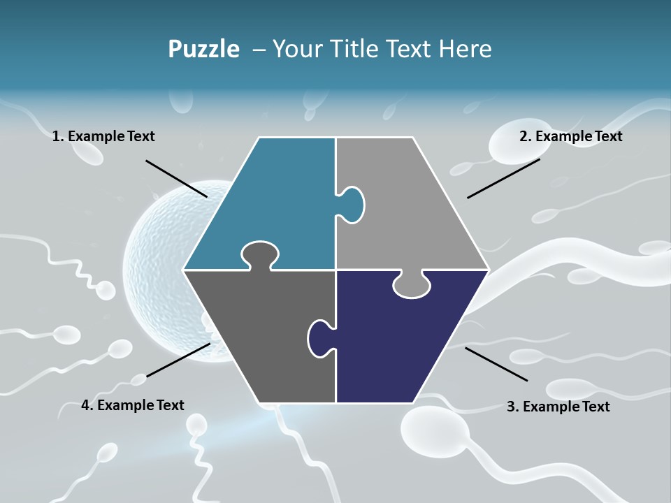 Curl Beautiful Design PowerPoint Template