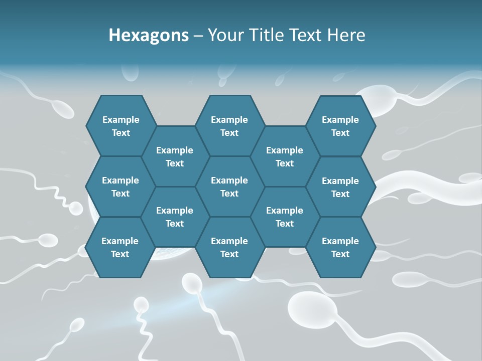 Curl Beautiful Design PowerPoint Template