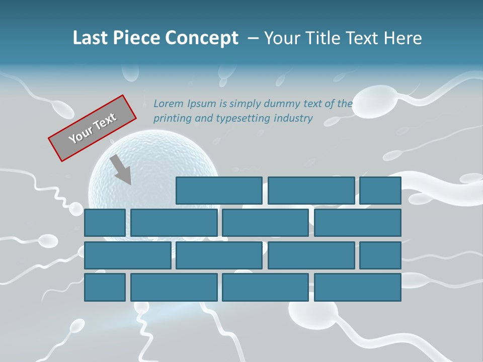Curl Beautiful Design PowerPoint Template