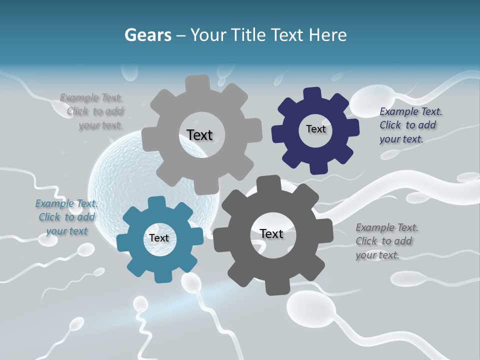 Curl Beautiful Design PowerPoint Template