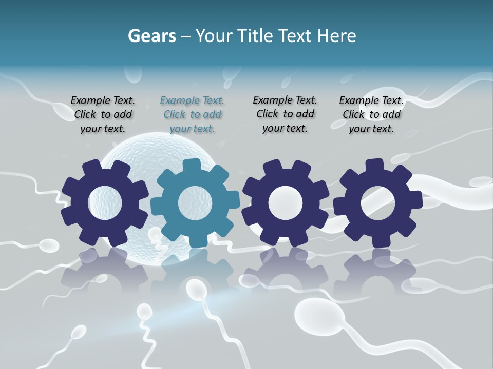 Curl Beautiful Design PowerPoint Template