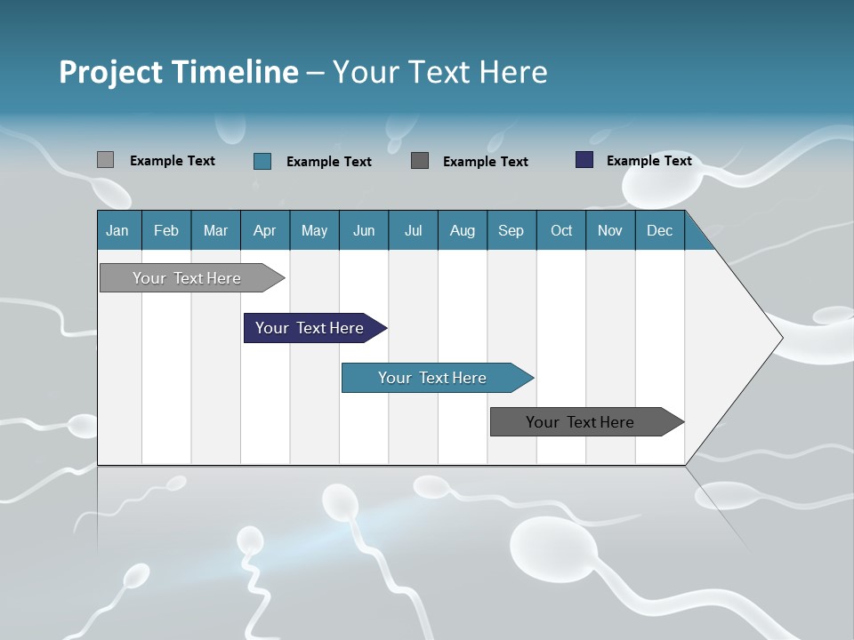 Curl Beautiful Design PowerPoint Template