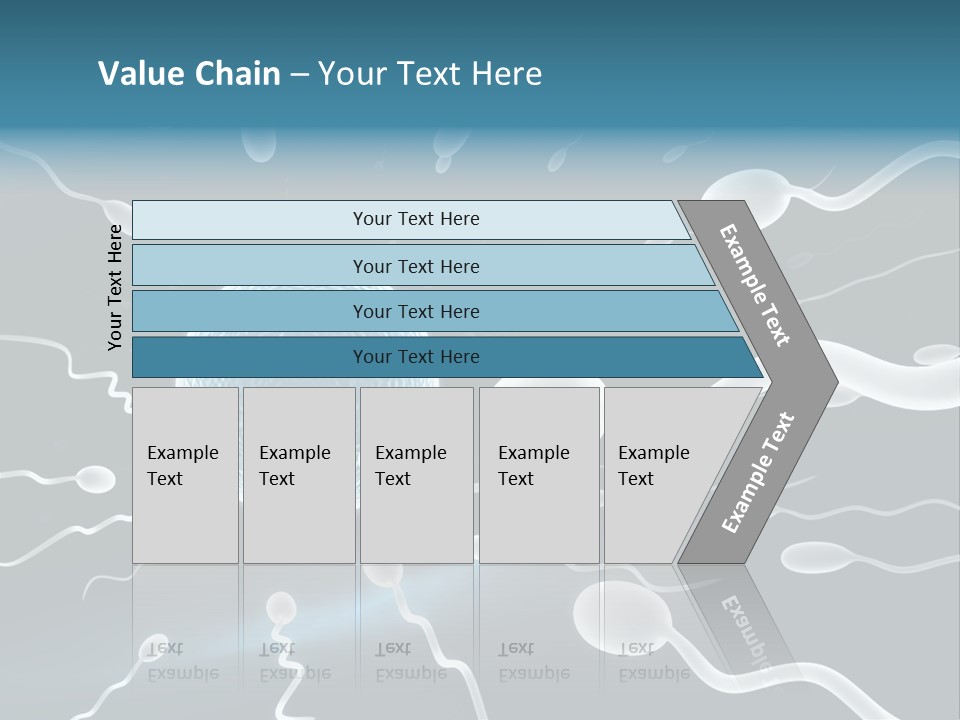 Curl Beautiful Design PowerPoint Template
