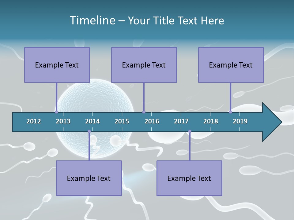Curl Beautiful Design PowerPoint Template