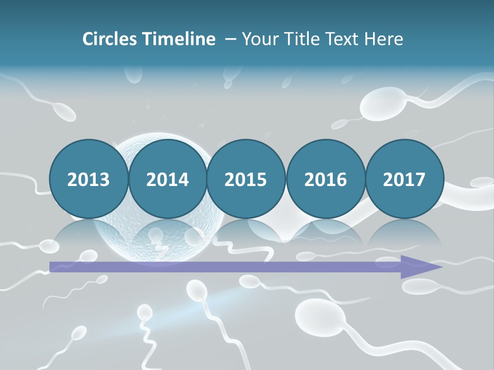Curl Beautiful Design PowerPoint Template