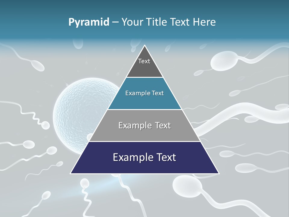 Curl Beautiful Design PowerPoint Template