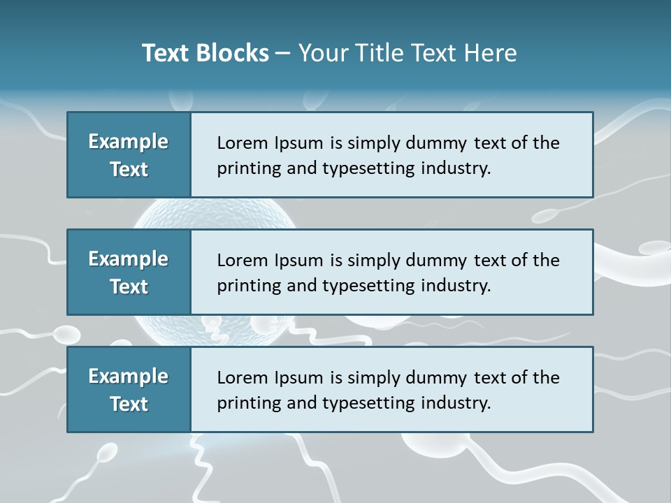 Curl Beautiful Design PowerPoint Template