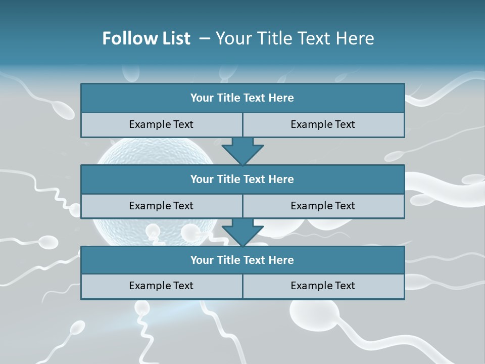 Curl Beautiful Design PowerPoint Template