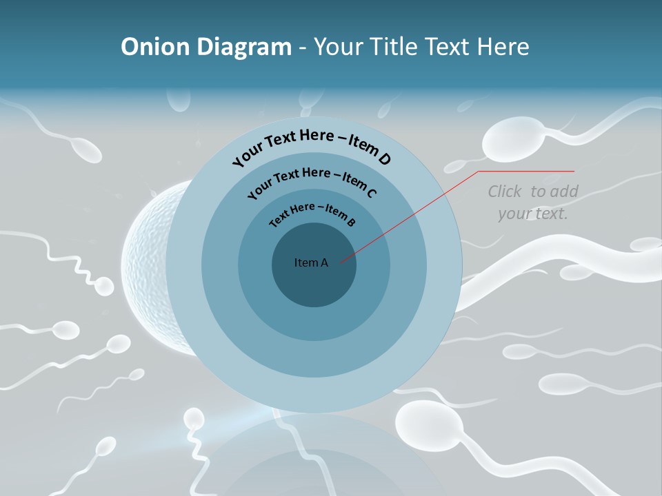 Curl Beautiful Design PowerPoint Template