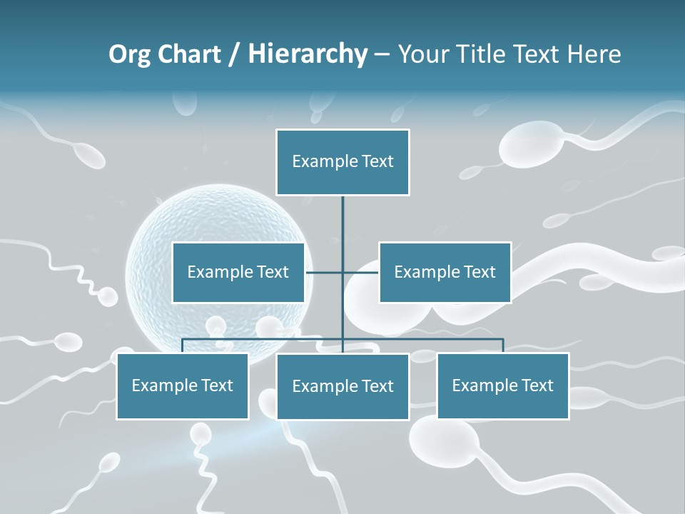 Curl Beautiful Design PowerPoint Template