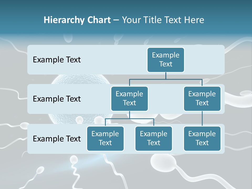Curl Beautiful Design PowerPoint Template
