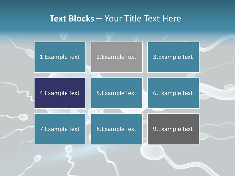 Curl Beautiful Design PowerPoint Template