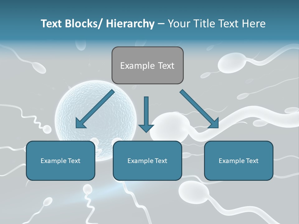 Curl Beautiful Design PowerPoint Template