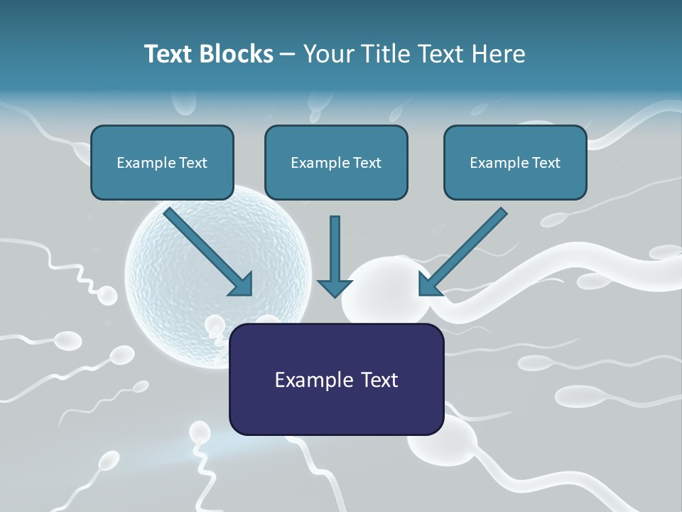 Curl Beautiful Design PowerPoint Template
